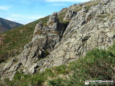 La Dehesa Bonita - Abedular de Somosierra_ viajes en otoño _ viaje octubre